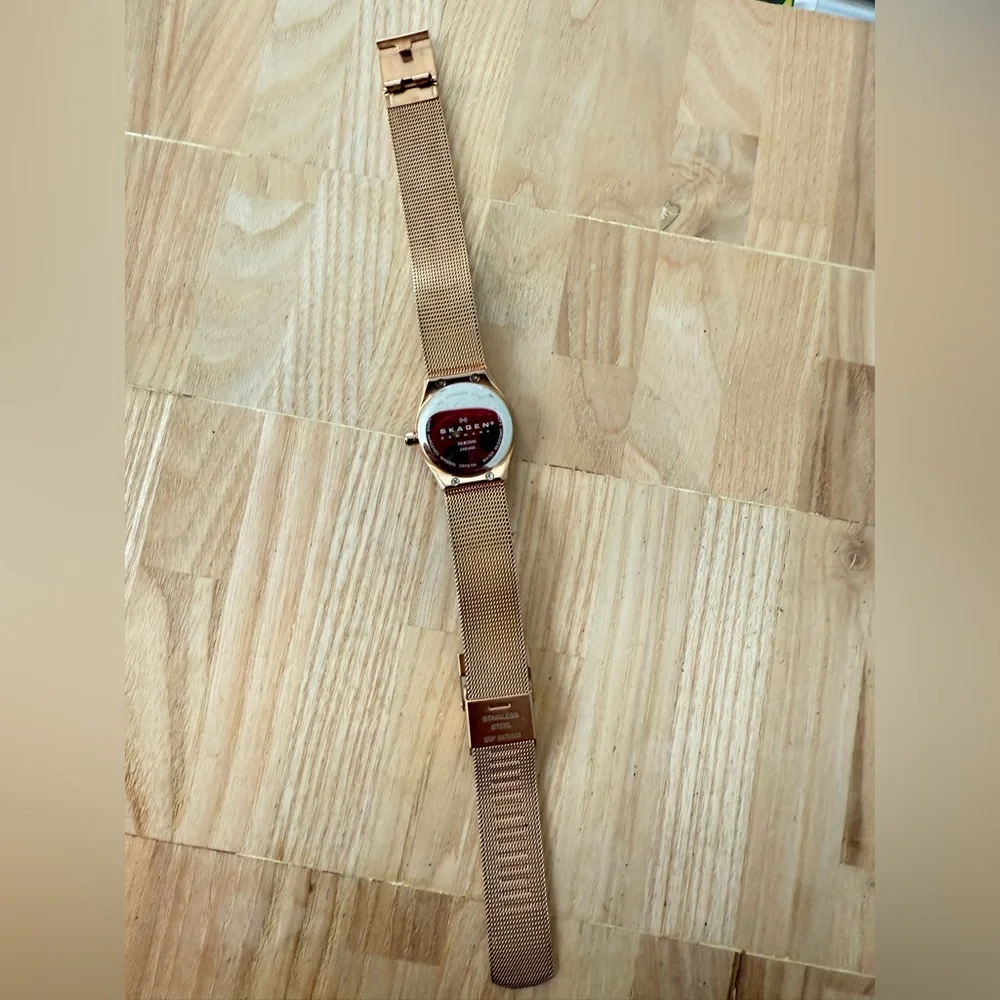Skagen brand model